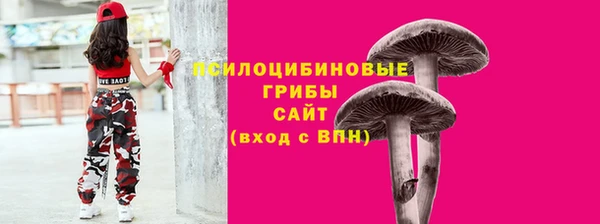 PSILOCYBIN Сатка