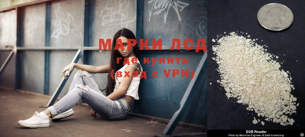 PSILOCYBIN Сатка
