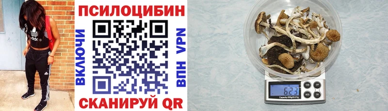 Галлюциногенные грибы мицелий  Старица 