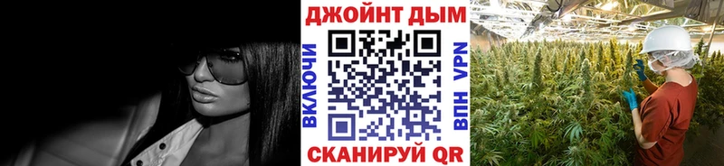Конопля индика Старица
